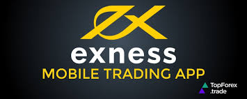 Discover the Exness Forex No Deposit Bonus Your Gateway to Trading Success
