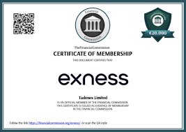 Discover the Exness Forex No Deposit Bonus Your Gateway to Trading Success